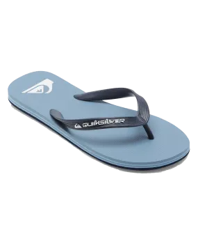 Molokai Core Flip Flops in Blue 5