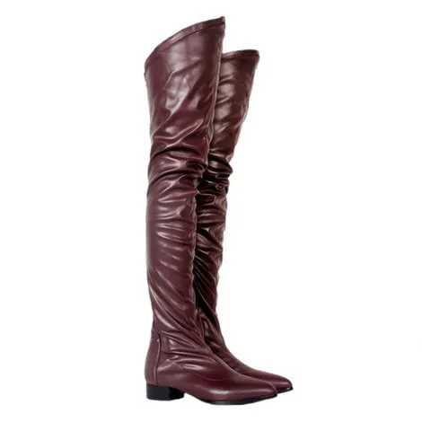 Pointed Toe Thigh High Boots